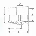 PVC druk verloopstuk 2" x 5/4" M/F (35st/doos)