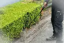 TSP16_5414045044960_06.webp