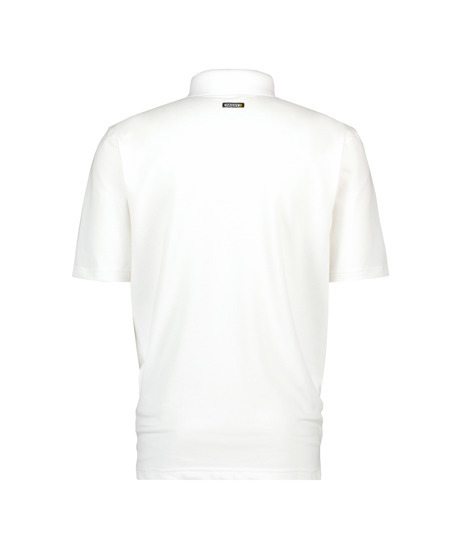 Dassy Leon polo