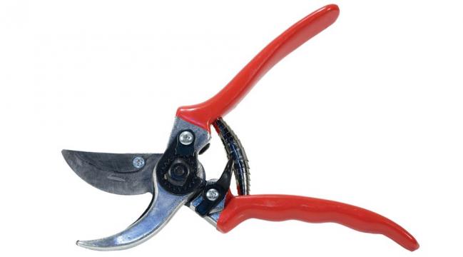 Pruning shears de pypere