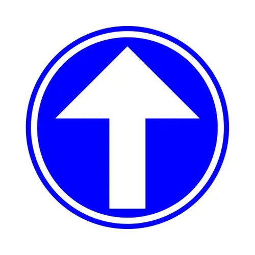 Traffic sign D1a-0 Mandatory straight ahead D700