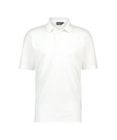 Polo Dassy Leon