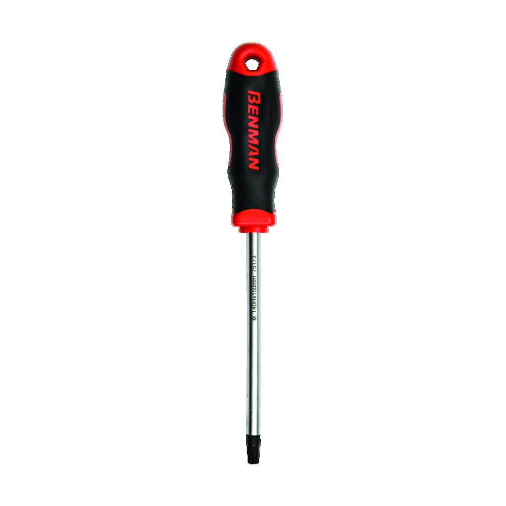 SCHROEVENDRAAIER BENMAN MAXPOWER S/D TAMPER TORX TX15x100mm