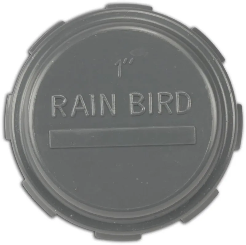 End cap PVC 1" female thread 10bar