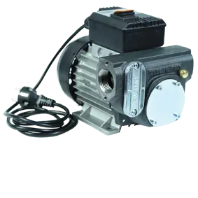 Pompe Besco 60 L BP - 230 V - B%
