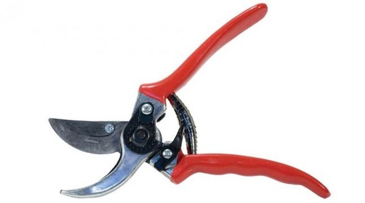 [501.1] Pruning shears the pypere