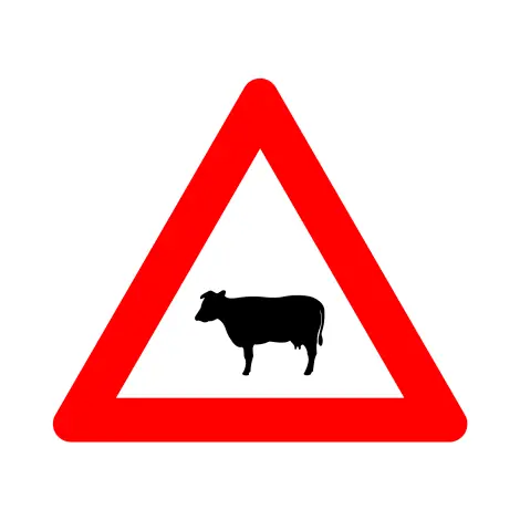 [A29] Road sign A29 Cattle transit SB250 Z700 HI WZ