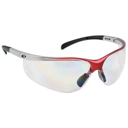 [BL00039081414] Veiligheidsbril spector ROZELLE - C