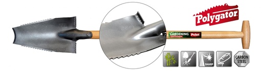 [POL101337] Spade tree root spade polygator Polet