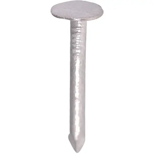 [SCHA50] Nail Shale nail 50x3 wide head