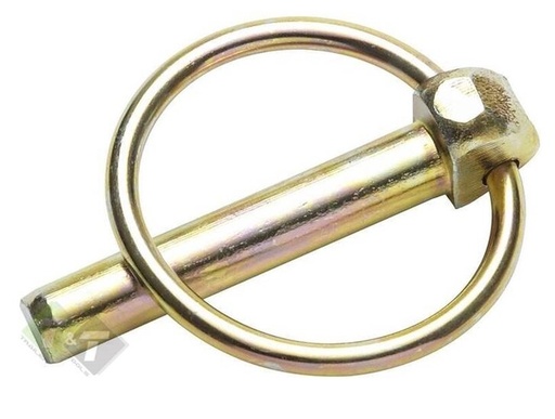 [3141060001] Borgpen verend 6mm